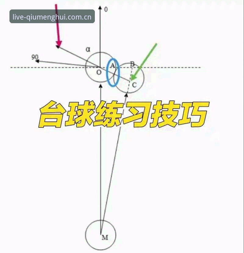 球盟会体育靠谱吗 新手必看:判断球盟会体育靠谱吗的5个关键维度